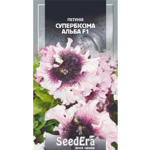 Петунія Супербіссіма Альба F1 Seedera зображення 1 артикул 72454