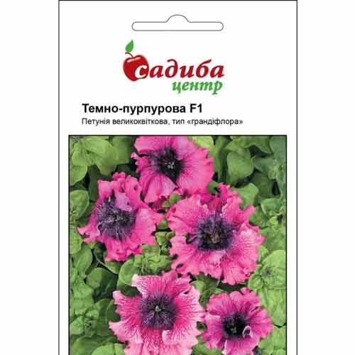 Петуния Темно-пурпурная F1 Садыба центр рисунок 1 артикул 89621