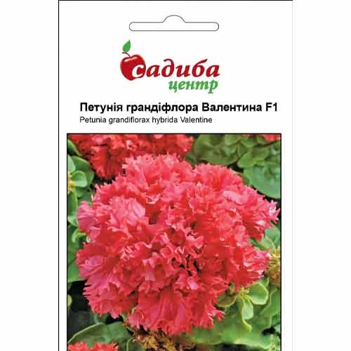 Петунія Валентина червона F1 Садиба центр зображення 1 артикул 89558