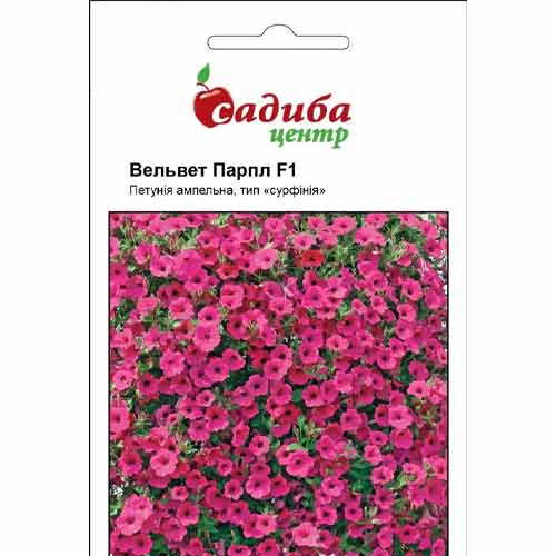 Петуния Вельвет Парпл F1 Садыба центр рисунок 1 артикул 89559