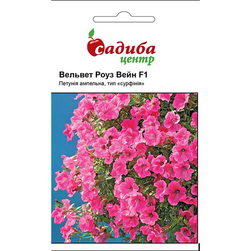Петунія Вельвет Роуз Вейн F1 Садиба центр артикул фото 1 Петунія Вельвет Роуз Вейн F1 Садиба центр зображення 1 артикул 72767