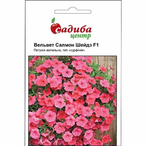 Петунія Вельвет Салмон Шейдз F1 Садиба центр зображення 1 артикул 72768