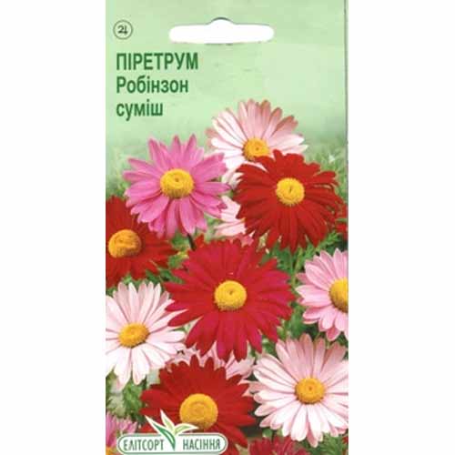 Пиретрум (Ромашка) Робинзон, смесь окрасок Элитсорт рисунок 1 артикул 85965