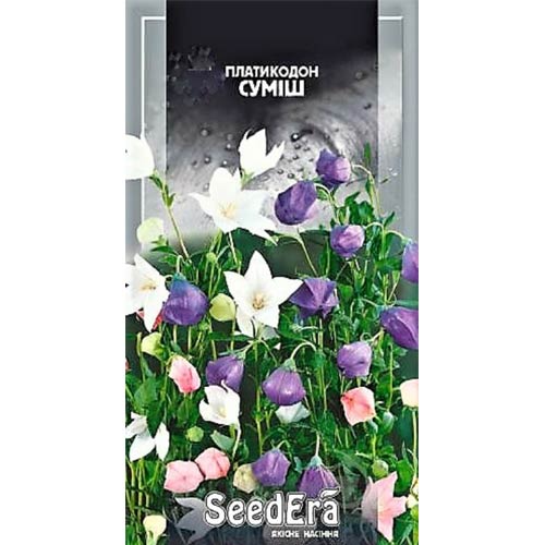 Платикодон, смесь окрасок Seedera рисунок 1 артикул 77096