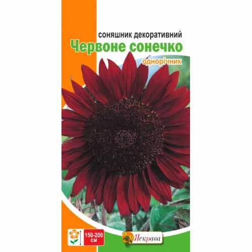 Соняшник декоративний Червоне сонечко артикул фото 1 Соняшник декоративний Червоне сонечко зображення 1 артикул 72546