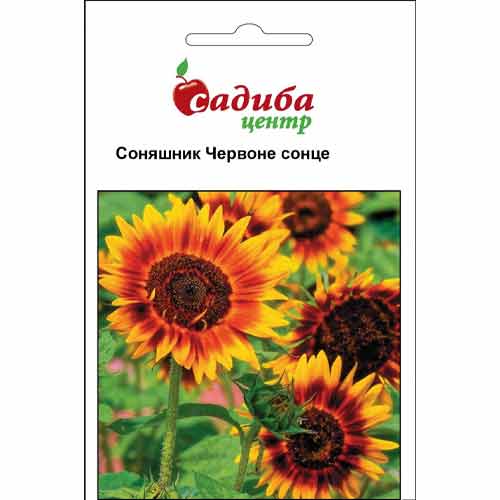 Подсолнечник Красное Солнце Садыба центр рисунок 1 артикул 89692