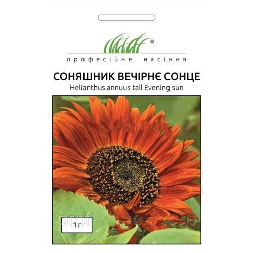 Подсолнечник Вечернее солнце Профессиональные семена рисунок 1 артикул 72545