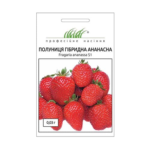 Полуниця Ананасна Професійне насіння артикул фото 1 Полуниця Ананасна Професійне насіння зображення 1 артикул 87608