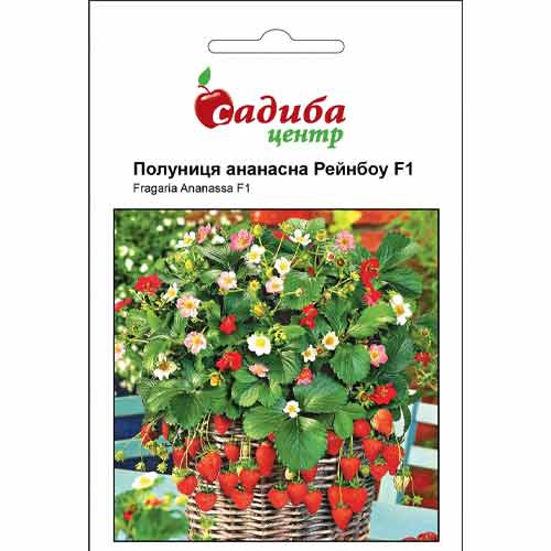 Полуниця ананасна Рейнбоу Садиба центр зображення 1 артикул 90779