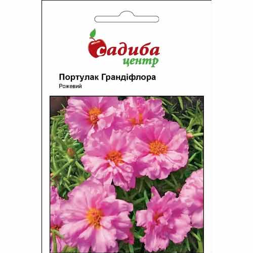 Портулак Грандифлора розовый Садиба центр рисунок 1 артикул 87642