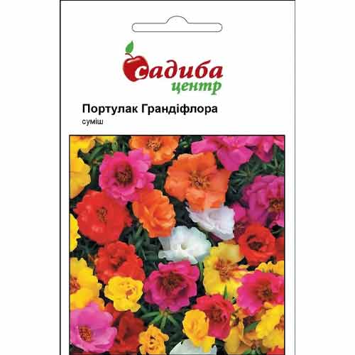 Портулак Грандіфлора, суміш забарвлень Садиба центр артикул фото 1 Портулак Грандіфлора, суміш забарвлень Садиба центр зображення 1 артикул 72775