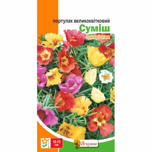 Портулак великоквiтковий, суміш забарвлень Яскрава артикул фото 1 Портулак великоквiтковий, суміш забарвлень Яскрава зображення 1 артикул 72494