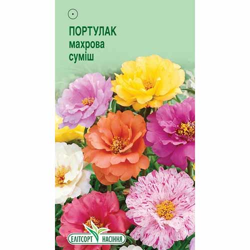 Портулак махровый, смесь окрасок Элитсорт рисунок 1 артикул 85966