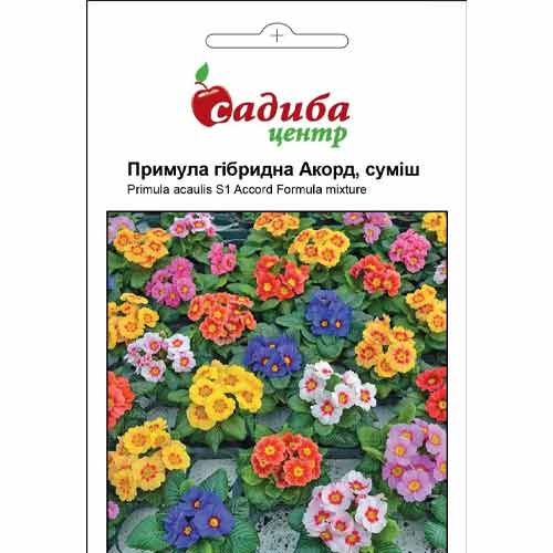 Примула Аккорд S1, смесь окрасок Садыба центр рисунок 1 артикул 72776