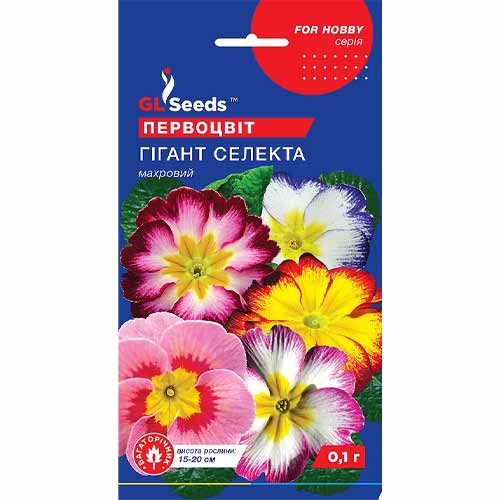 Примула (первоцвіт) Гігант Селекта GL Seeds зображення 1 артикул 85873