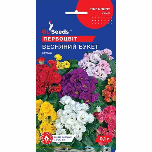 Примула (первоцвет) Весенний букет GL Seeds рисунок 1 артикул 85872