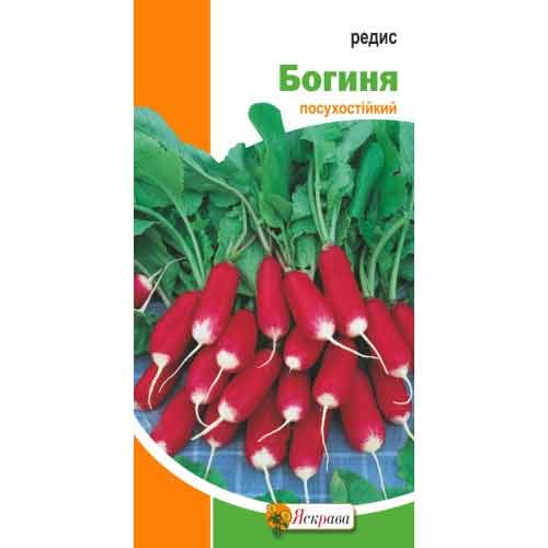Редис Богиня Яскрава, семена артикул фото 1 Редис Богиня Яскрава, семена рисунок 1 артикул 99980