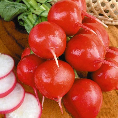 Редис Чупачупс, семена артикул фото 1 Редис Чупачупс, семена рисунок 1 артикул 65352