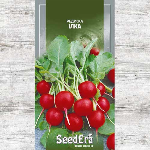 Редис Илка артикул фото 1 Редис Илка рисунок 1 артикул 90186