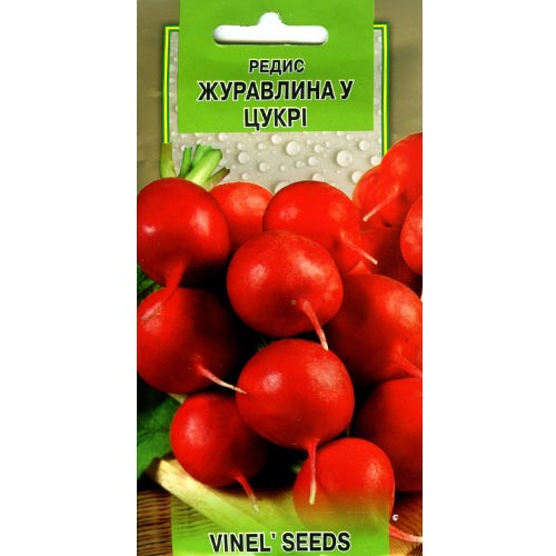 Редис Клюква в сахаре Vinel seeds артикул фото 1 Редис Клюква в сахаре Vinel seeds рисунок 1 артикул 95733