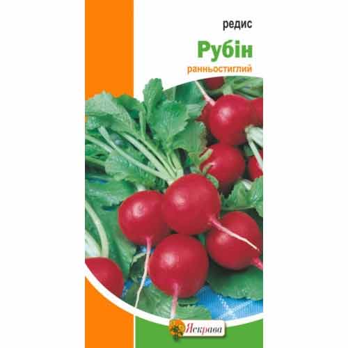 Редис Рубин Яскрава артикул фото 1 Редис Рубин Яскрава рисунок 1 артикул 99982