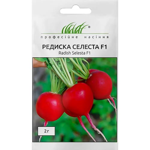 Редис Селеста F1 Професійне насіння зображення 1 артикул 95189