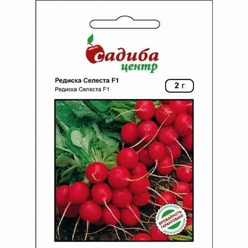 Редис Селеста F1 Садыба центр рисунок 1 артикул 89644