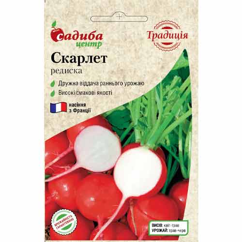 Редис Скарлет Садыба центр рисунок 1 артикул 89645