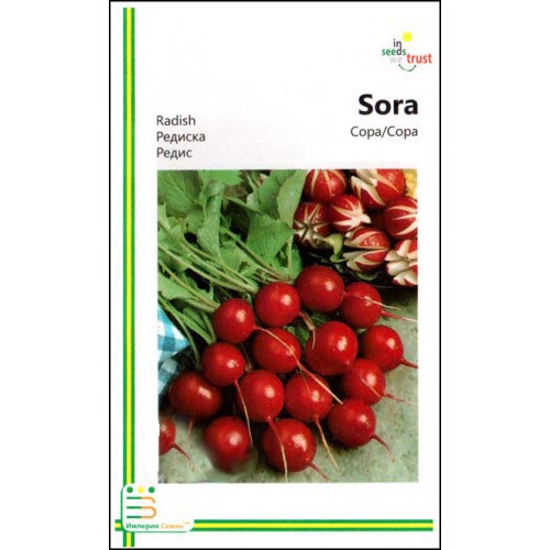 Редис Сора Империя семян рисунок 1 артикул 95286