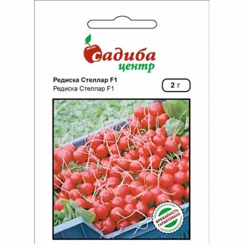 Редис Стеллар F1 Садиба центр зображення 1 артикул 89647