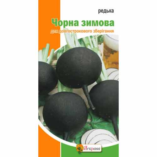 Редька Черная зимняя круглая Яскрава рисунок 1 артикул 99985