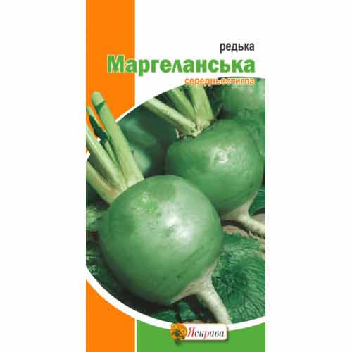 Редька Маргеланская Яскрава рисунок 1 артикул 90511