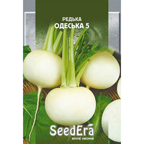 Редька Одесская 5 Seedera рисунок 1 артикул 90190