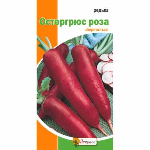 Редька Остергрюс роза, семена рисунок 1 артикул 90512