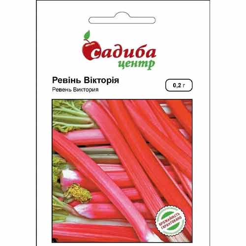 Ревень Виктория Садыба центр рисунок 1 артикул 89630