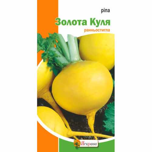 Репа Золотой Шар Яскрава рисунок 1 артикул 99986