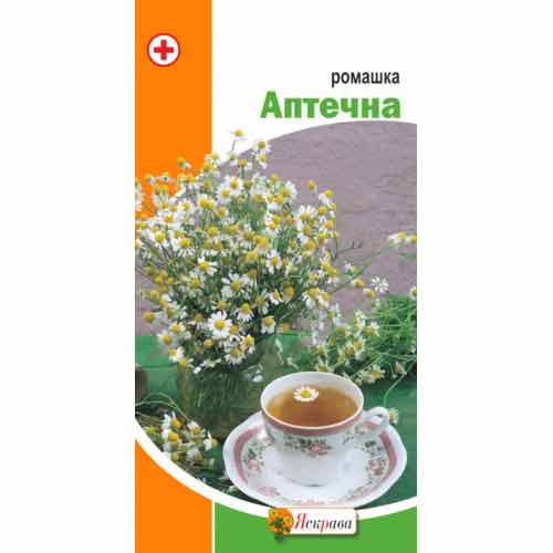 Ромашка аптечная Яскрава артикул фото 1 Ромашка аптечная Яскрава рисунок 1 артикул 72513