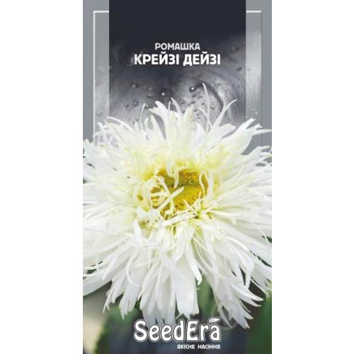 Ромашка Крейзи Дейзи Seedera рисунок 1 артикул 66443
