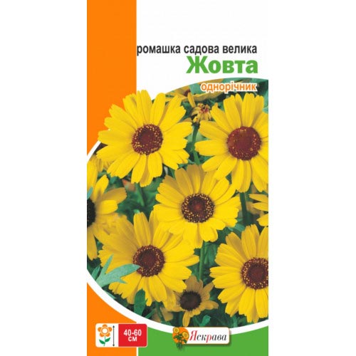Ромашка садовая крупноцветковый желтая Яскрава артикул фото 1 Ромашка садовая крупноцветковый желтая Яскрава рисунок 1 артикул 85616
