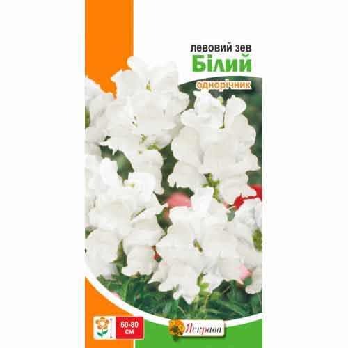 Ротики садовi (левовий зев) білий Яскрава зображення 1 артикул 99788