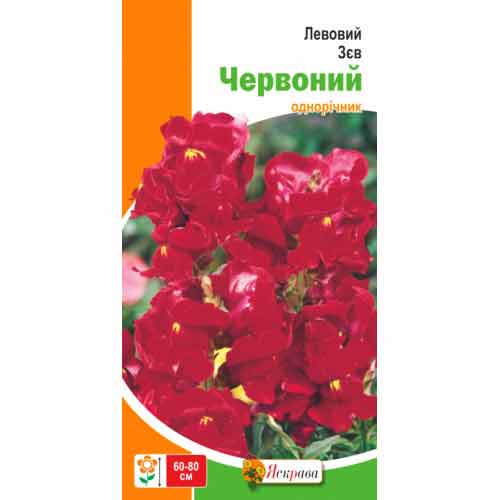 Ротики садовi (левовий зев) червоний Яскрава зображення 1 артикул 99786