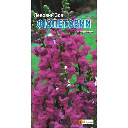 Ротики садовi (левовий зев) фіолетовий Яскрава зображення 1 артикул 99789