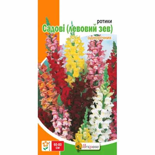 Антирринум (львиный зев) садовый гигантский Яскрава рисунок 1 артикул 99787