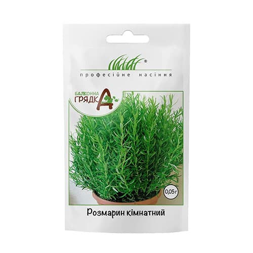 Розмарин комнатный Профессиональные семена рисунок 1 артикул 65315