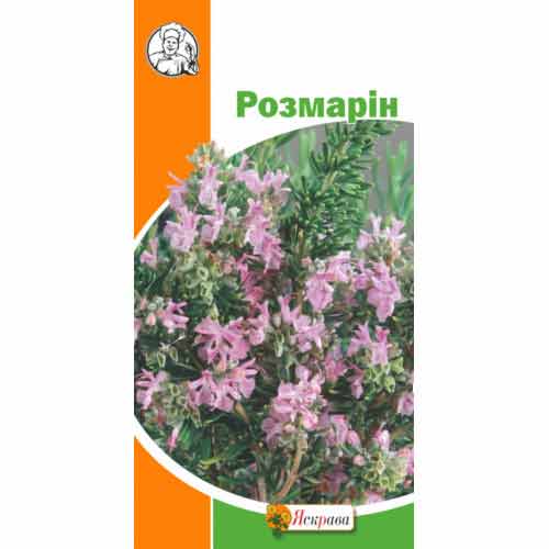 Розмарин Яскрава, насіння артикул фото 1 Розмарин Яскрава, насіння зображення 1 артикул 72511