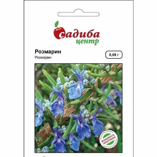 Розмарин Садиба центр зображення 1 артикул 89660