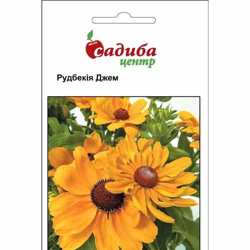 Рудбекия Джем Садыба центр рисунок 1 артикул 89661