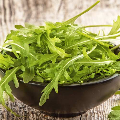 Руккола комнатная Оливетта рисунок 1 артикул 65491