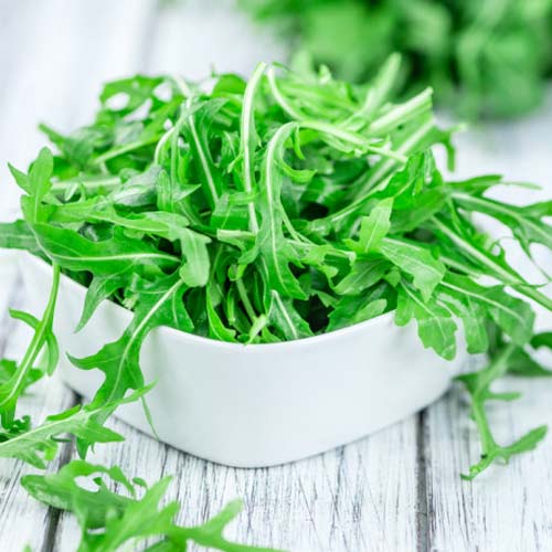 Рукола Пикантная Seedera рисунок 1 артикул 65654