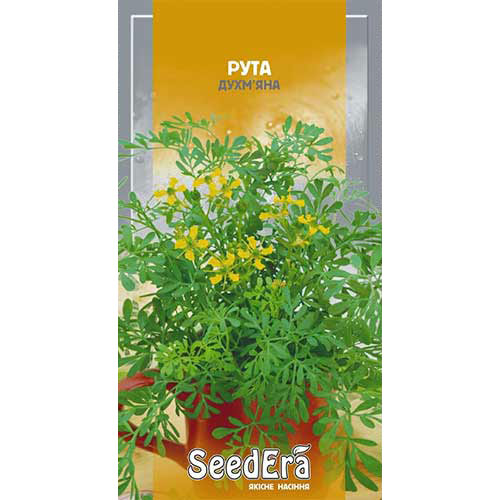 Рута душистая Seedera рисунок 1 артикул 90193